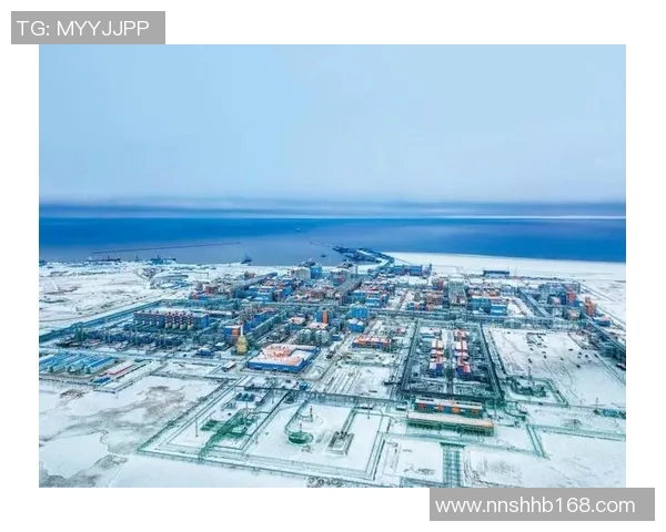 亚马尔地区的能源开发与国际合作前景分析及其对全球市场的影响